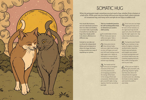 MYSTIC KITTY: A CAT'S GUIDE TO MEDITATION - OULA. VALERIA; CORREA THIAGO
